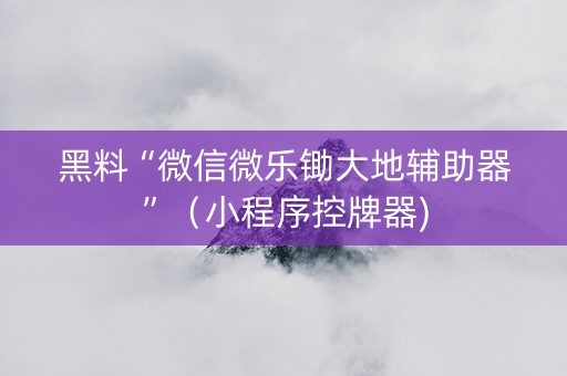 黑料“微信微乐锄大地辅助器”（小程序控牌器)