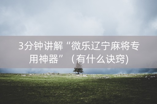 3分钟讲解“微乐辽宁麻将专用神器”（有什么诀窍)