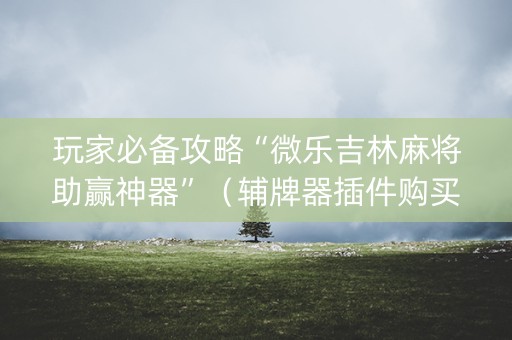 玩家必备攻略“微乐吉林麻将助赢神器”（辅牌器插件购买)