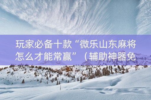 玩家必备十款“微乐山东麻将怎么才能常赢”（辅助神器免费)