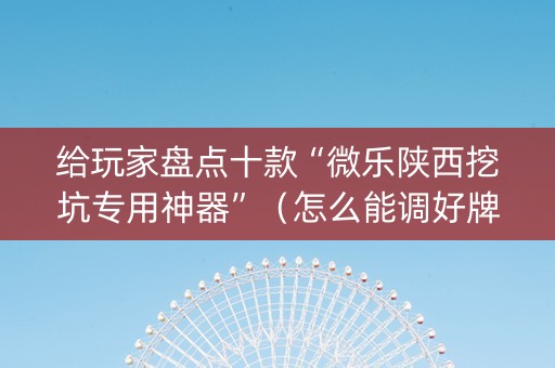 给玩家盘点十款“微乐陕西挖坑专用神器”（怎么能调好牌)