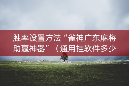 胜率设置方法“雀神广东麻将助赢神器”（通用挂软件多少钱)