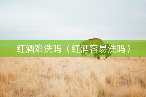 红酒难洗吗（红酒容易洗吗）