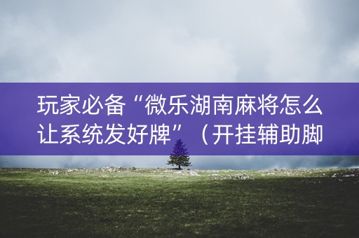 玩家必备“微乐湖南麻将怎么让系统发好牌”（开挂辅助脚本)