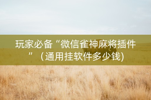 玩家必备“微信雀神麻将插件”（通用挂软件多少钱)
