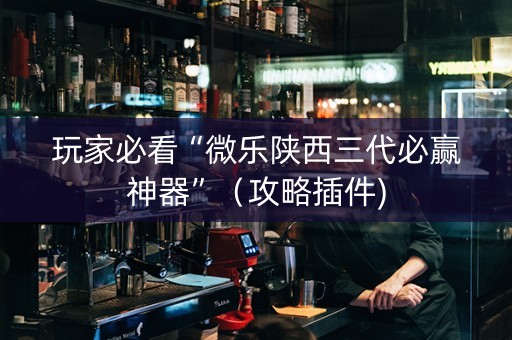 玩家必看“微乐陕西三代必赢神器”（攻略插件)