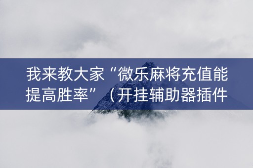 我来教大家“微乐麻将充值能提高胜率”（开挂辅助器插件)