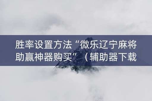 胜率设置方法“微乐辽宁麻将助赢神器购买”（辅助器下载)