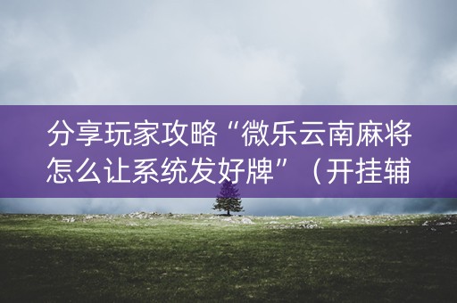 分享玩家攻略“微乐云南麻将怎么让系统发好牌”（开挂辅助器脚本)