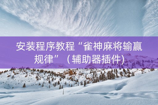 安装程序教程“雀神麻将输赢规律”（辅助器插件)