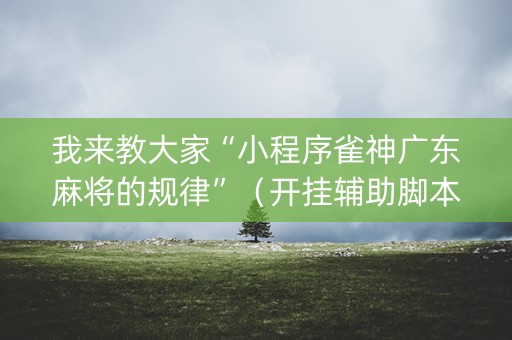 我来教大家“小程序雀神广东麻将的规律”（开挂辅助脚本)