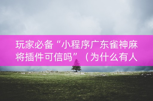 玩家必备“小程序广东雀神麻将插件可信吗”（为什么有人一直赢)