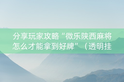 分享玩家攻略“微乐陕西麻将怎么才能拿到好牌”（透明挂辅助器)