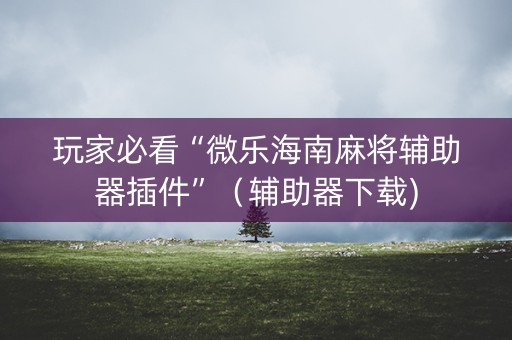 玩家必看“微乐海南麻将辅助器插件”（辅助器下载)