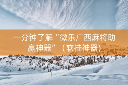 一分钟了解“微乐广西麻将助赢神器”（软挂神器)
