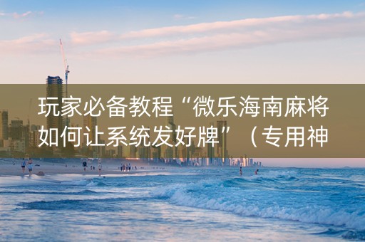 玩家必备教程“微乐海南麻将如何让系统发好牌”（专用神器下载)