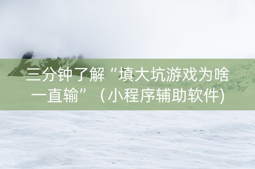三分钟了解“填大坑游戏为啥一直输”（小程序辅助软件)