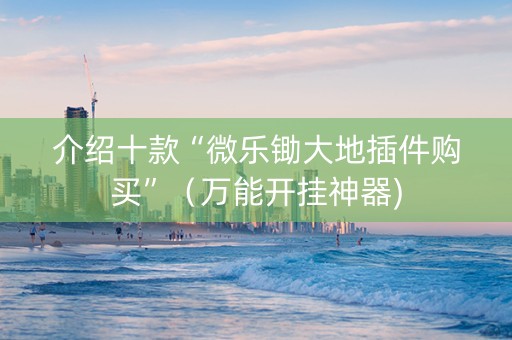 介绍十款“微乐锄大地插件购买”（万能开挂神器)
