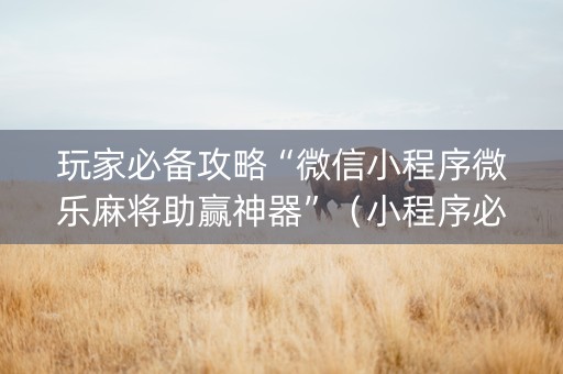 玩家必备攻略“微信小程序微乐麻将助赢神器”（小程序必赢神器)