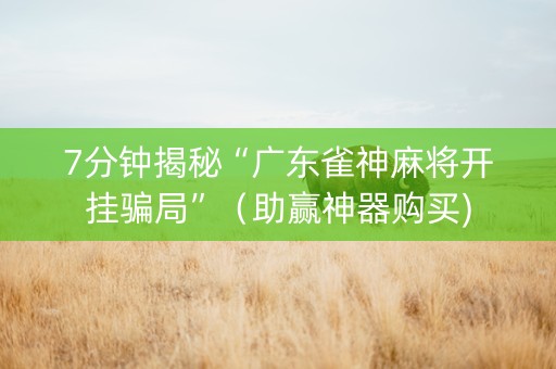 7分钟揭秘“广东雀神麻将开挂骗局”（助赢神器购买)