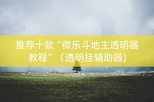 推荐十款“微乐斗地主透明器教程”（透明挂辅助器)