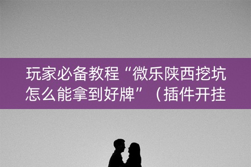 玩家必备教程“微乐陕西挖坑怎么能拿到好牌”（插件开挂免费AI)