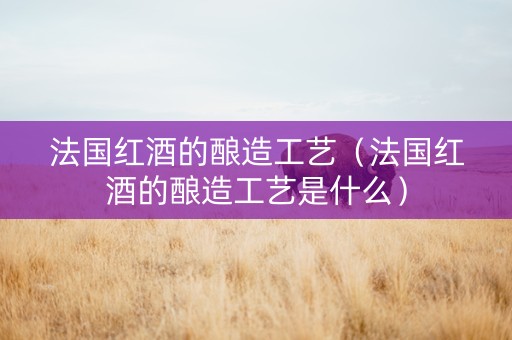 法国红酒的酿造工艺（法国红酒的酿造工艺是什么）