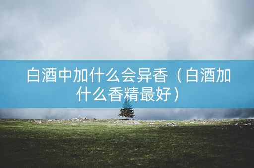 白酒中加什么会异香（白酒加什么香精最好）
