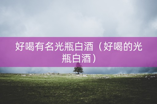 好喝有名光瓶白酒（好喝的光瓶白酒）
