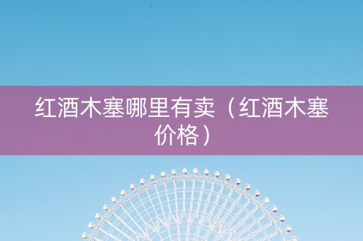 红酒木塞哪里有卖（红酒木塞价格）