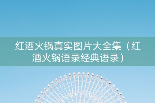 红酒火锅真实图片大全集（红酒火锅语录经典语录）