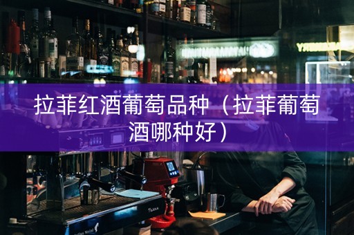 拉菲红酒葡萄品种（拉菲葡萄酒哪种好）
