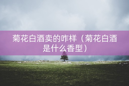 菊花白酒卖的咋样（菊花白酒是什么香型）
