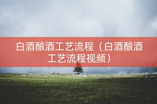 白酒酿酒工艺流程（白酒酿酒工艺流程视频）