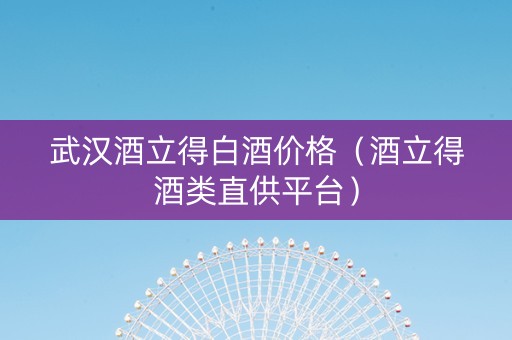 武汉酒立得白酒价格（酒立得酒类直供平台）