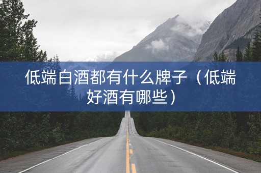 低端白酒都有什么牌子（低端好酒有哪些）