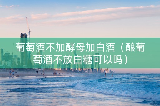 葡萄酒不加酵母加白酒（酿葡萄酒不放白糖可以吗）
