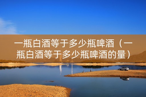 一瓶白酒等于多少瓶啤酒（一瓶白酒等于多少瓶啤酒的量）