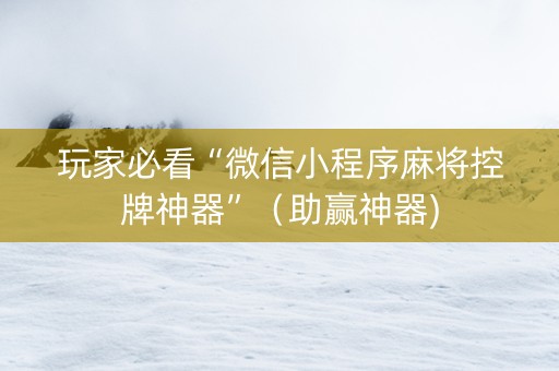 玩家必看“微信小程序麻将控牌神器”（助赢神器)