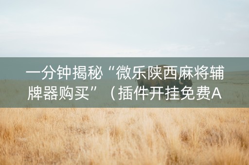 一分钟揭秘“微乐陕西麻将辅牌器购买”（插件开挂免费AI)