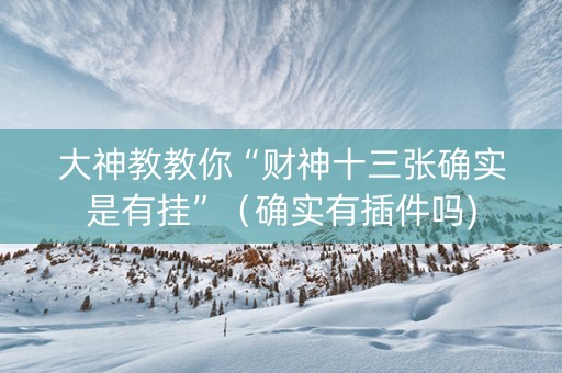 大神教教你“财神十三张确实是有挂”（确实有插件吗)