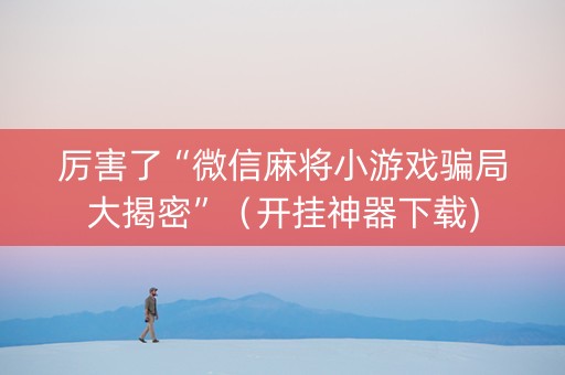 厉害了“微信麻将小游戏骗局大揭密”（开挂神器下载)