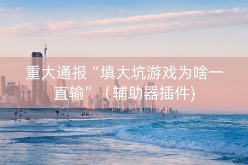 重大通报“填大坑游戏为啥一直输”（辅助器插件)