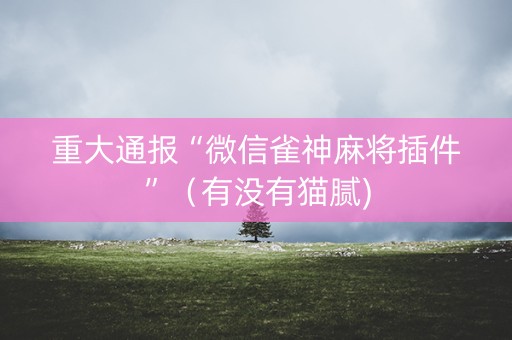 重大通报“微信雀神麻将插件”（有没有猫腻)