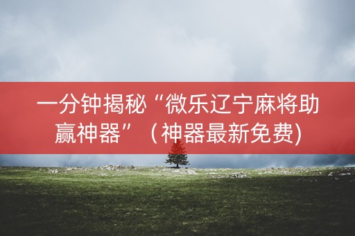 一分钟揭秘“微乐辽宁麻将助赢神器”（神器最新免费)