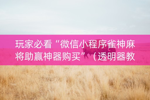 玩家必看“微信小程序雀神麻将助赢神器购买”（透明器教程)
