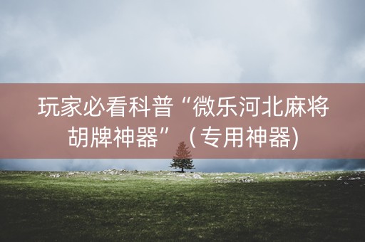 玩家必看科普“微乐河北麻将胡牌神器”（专用神器)