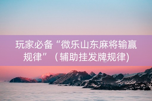 玩家必备“微乐山东麻将输赢规律”（辅助挂发牌规律)