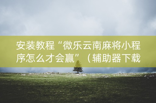 安装教程“微乐云南麻将小程序怎么才会赢”（辅助器下载)