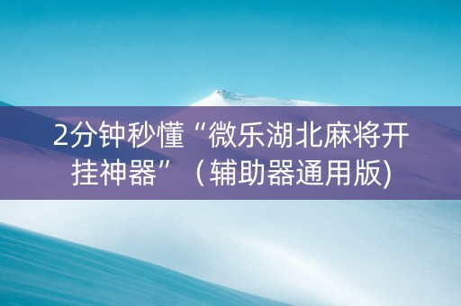 2分钟秒懂“微乐湖北麻将开挂神器”（辅助器通用版)